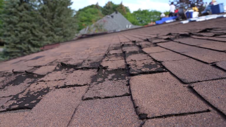 Best 4 Ply Roofing  in North Kensington, MD