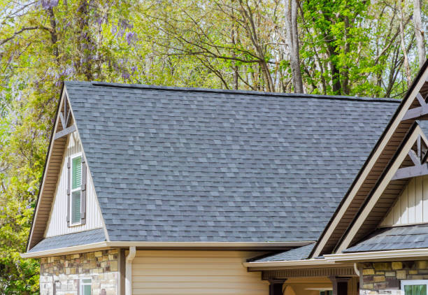 Best Solar Panel Roofing Installation  in North Kensington, MD