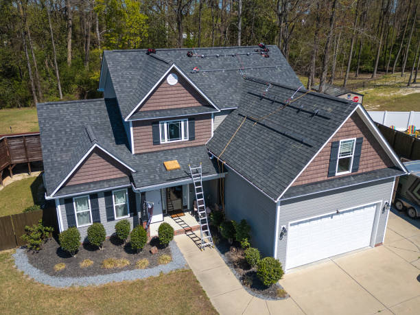 Best Roof Moss and Algae Removal  in North Kensington, MD