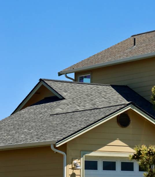 Best Roof Moss and Algae Removal  in North Kensington, MD